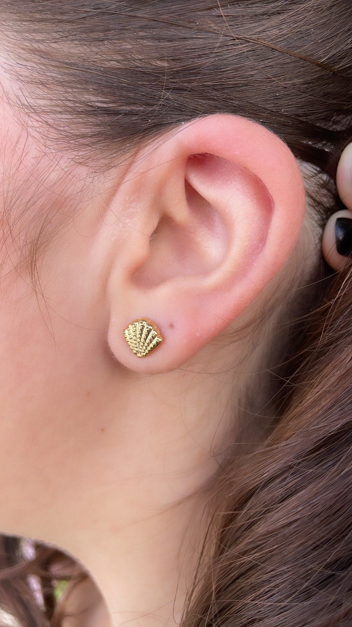 18k Gold Filled Set of 3 Sea Shell Textured Stud Earrings, Beach Jewlery, Dainty Studs, Conch Jewlery, Sea Shell Jewlery